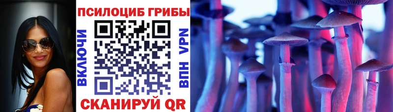 купить   Чухлома  Галлюциногенные грибы Magic Shrooms 